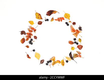 Herbstkranz aus Herbstblättern und Beeren auf weißem Hintergrund. Stockfoto