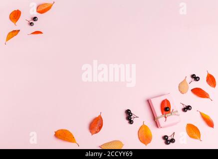 Herbsthintergrund aus Herbstblättern und Beeren auf rosa Hintergrund. Stockfoto