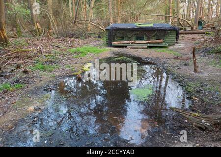 David Tiplings Pool versteckt sich in Wäldern mit Stopsol in eine Richtung Glas Kettlestone Norfolk Stockfoto