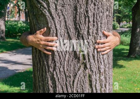 Person Hände umarmen Holzstamm. Mann Hände umarmt Baumstamm. Menschliche Verbindung zur Natur durch Baum. Liebe und schützen Natur Konzept. Stockfoto