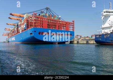 Rückansicht des Containerschiffes COSCO Shipping Taurus mit kleinerem Schiff im Prinses Amaliahaven, Maasvlakte 2 Stockfoto