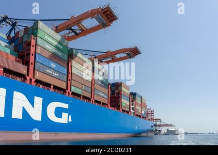 Containerschiff COSCO Shipping Taurus wird am Euromax Terminal im Prinses Amaliahaven, Maasvlakte 2 entladen Stockfoto