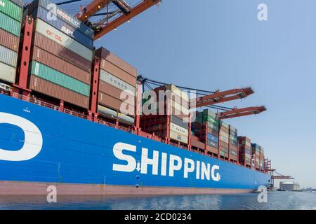 Containerschiff COSCO Shipping Taurus wird im Prinses Amaliahaven, Maasvlakte 2 entladen Stockfoto