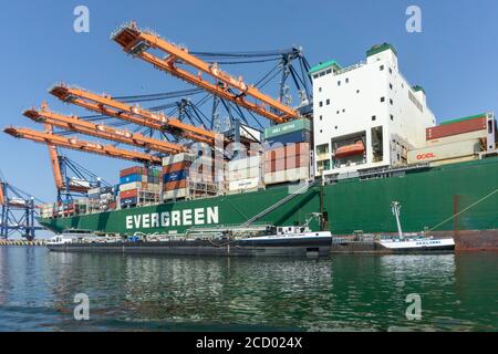 Containerschiff aus Evergreen wird von zwei kleineren Öltankern im Prinses Amaliahaven, Maasvlakte 2, betankt Stockfoto