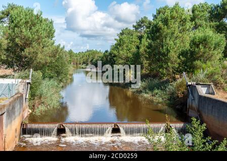 Le Porge, in der Nähe von Lacanau in Médoc, Frankreich. Der Kanal der Teiche Stockfoto