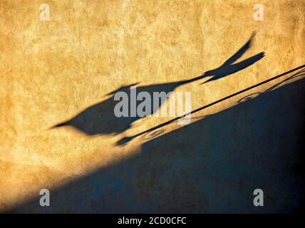 Ein Schatten einer fliegenden Taube trifft auf den Schatten von Eine Straßenlampe an einer gelben Wand in Fiesole in der Nähe Florenz (Italien) Stockfoto