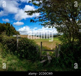 Halten Sie sich über eine Hecke auf dem langen Wanderweg South Downs Way in East Sussex, England, Großbritannien, auf Stockfoto