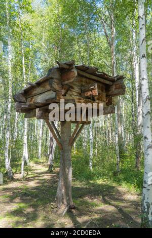 Holzhaus auf hohen Beinen in einem Birkenwald. Hütte auf Hühnerbeinen stehend. Hölzerne Haus Fee Großmutter Yaga. Stockfoto