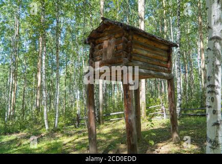 Holzhaus auf hohen Beinen in einem Birkenwald. Hütte auf Hühnerbeinen stehend. Hölzerne Haus Fee Großmutter Yaga. Stockfoto
