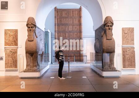 London, England. August 2020. Ein Mann, der eine Gesichtsbedeckung trägt und die human-headed Winged Lion-Kultur im British Museum betrachtet. Das British Museum wird seine Türen für die Öffentlichkeit im Einklang mit den Richtlinien der Regierung und mit neuen Sicherheitsmaßnahmen wieder öffnen. Nach fünf Monaten Schließung aufgrund der Coronavirus-Pandemie wird das British Museum am 27. August 2020 seine Pforten wieder für die Öffentlichkeit öffnen. Eine neue Einbahnstraße rund um die Galerien im Erdgeschoss ermöglicht den Besuchern den Zugang zu über 9000 Objekten. Weitere Galerien werden später im September wieder eröffnet. (Foto von Sam Mell Stockfoto