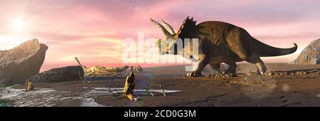 Triceratops horridus Dinosaurier am Strand Stockfoto