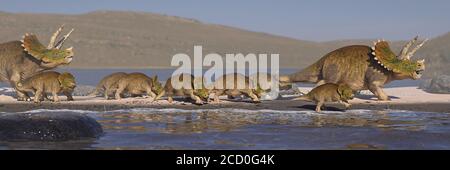 Triceratops horridus Familie am Strand, Dinosaurier aus dem Jura in ruhiger Landschaft Stockfoto