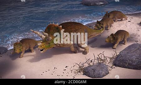 Triceratops horridus Familie am Strand, Dinosaurier aus dem Jura in ruhiger Landschaft Stockfoto