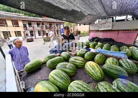 (200825) -- FUZHOU, 25. August 2020 (Xinhua) -- Dorfbewohner kaufen Wassermelonen im Dorf Chenqiao, Bezirk Zhouning, südöstlich der Provinz Fujian in China, 3. August 2020. Umgeben von hohen Bergen und auf einer steilen Klippe gelegen, ist Chenqiao ein tausend Jahre altes Dorf in der Provinz Fujian, berühmt für seine Täler, Wasserfälle und das Meer der Wolken. Mit einer Höhe von 936 Metern und einer durchschnittlichen Temperatur von 24 Grad Celsius im Sommer ist es auch ein beliebter Sommerort für Touristen. Seit Beginn des Sommers zieht es immer mehr Besucher zum Wandern, Campen und Besichten an Stockfoto