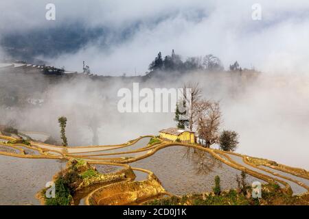 Sonnenaufgang und Nebel über Reisterrassen von Yuanyang, Provinz Yunnan, China. Im Winter sind die Terrassen überflutet, was schöne Reflexionen im Wasser gibt Stockfoto