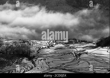 Sonnenaufgang über Reisterrassen von Yuanyang, im Süden der Provinz Yunnan, China. Im Winter, die Terrassen sind überschwemmt, die schöne Spiegelungen im Wasser. Stockfoto