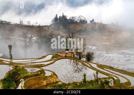 Sonnenaufgang und Nebel über Reisterrassen von Yuanyang, Provinz Yunnan, China. Im Winter sind die Terrassen überflutet, was schöne Reflexionen im Wasser gibt Stockfoto