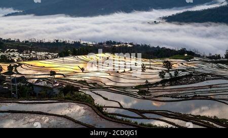 Sonnenaufgang über Reisterrassen von Yuanyang, im Süden der Provinz Yunnan, China. Im Winter, die Terrassen sind überschwemmt, die schöne Spiegelungen im Wasser. Stockfoto