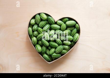 Melothria scabra, auch bekannt als die cucamelon oder Pepquinos ist kleine essbare Frucht Hexe schmeckt wie Gurke und Melone. Stockfoto