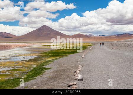 Zwei Personen gehen auf einer Straße vorbei an Flamingos an Laguna Colorada, Eduardo Avaroa Nationalpark; Potosi Department, Bolivien Stockfoto