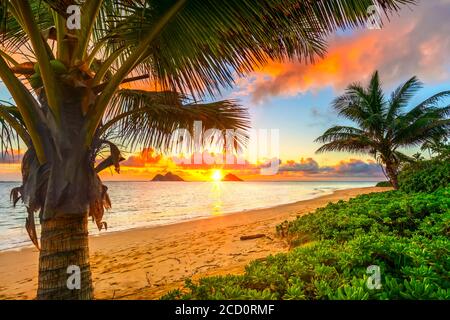 Strahlender Sonnenaufgang über den Mokulua Inseln, vom Lanakai Strand an der Küste von Oahu aus gesehen; Oahu, Hawaii, Vereinigte Staaten von Amerika Stockfoto