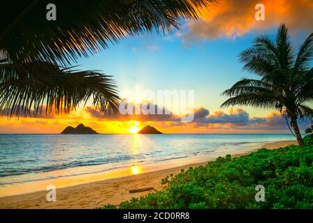 Strahlender Sonnenaufgang über den Mokulua Inseln, vom Lanakai Strand an der Küste von Oahu aus gesehen; Oahu, Hawaii, Vereinigte Staaten von Amerika Stockfoto