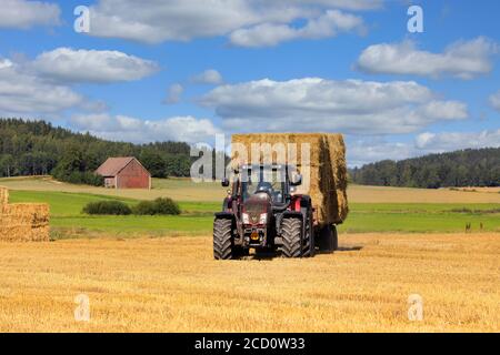 Transport von Strohballen mit Valtra Traktor und landwirtschaftlichen Anhänger von geerntetem Feld zur Lagerung im Spätsommer. Salo, Finnland. 16. August 2020. Stockfoto