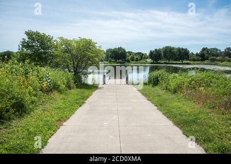 Steg in den Süßwassersee mit heimischem Grün unter einem blauen Himmel mit Wolken in Aurora, Illinois Stockfoto