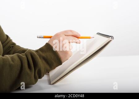 Weibliche Hände mit Kugelschreiber schreiben und Arbeiten am Notebook Stockfoto