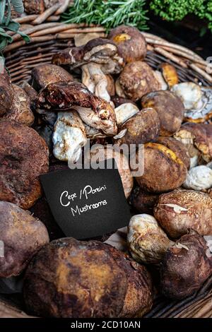 Steinpilze/CEPS frische Bio-Pilze auf der Innenauslage im rustikalen Korb Bei Specialty Luxus hochwertige Delikatessen in Borough Market Southwark London, Großbritannien Stockfoto