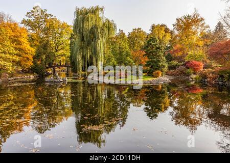 Herbstfarben im Japanischen Garten, Szczytnicki Park; Breslau, Schlesien, Polen Stockfoto