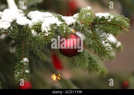 Schneebedeckter Weihnachtsbaum mit roten Kugeln verziert Stockfoto