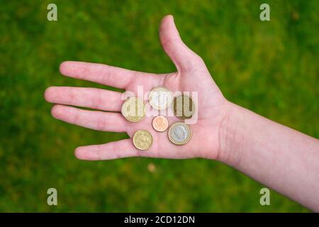 Euro-Münzen in Handfläche gehalten Stockfoto