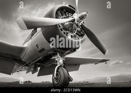Historische Flugzeuge vor einem dramatischen Himmel Stockfoto