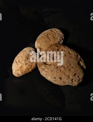 Bimsstein Isoliert. Die Oberfläche aus natürlichem Bimsstein auf schwarzem Hintergrund. Stockbild Stockfoto