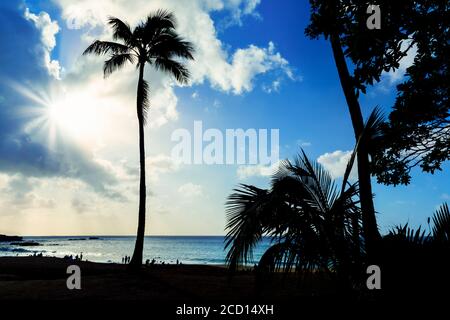 Silhouetten von Palmen und Menschen im Waimea Bay Beach Park bei Sonnenuntergang; Oahu, Hawaii, Vereinigte Staaten von Amerika Stockfoto