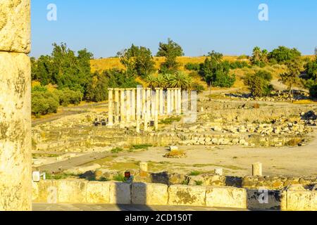 Ansicht der Überreste der alten römisch-byzantinischen Stadt Bet Shean (Nysa-Scythopolis), jetzt ein Nationalpark. Nord-Israel Stockfoto