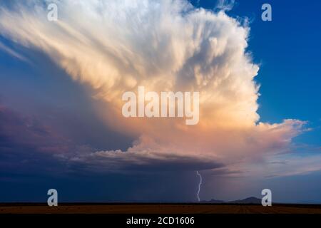 Gewitter Cumulonimbus Wolke mit Blitz und Sonnenuntergang Himmel Ironwood Forest National Monument, Arizona, USA Stockfoto