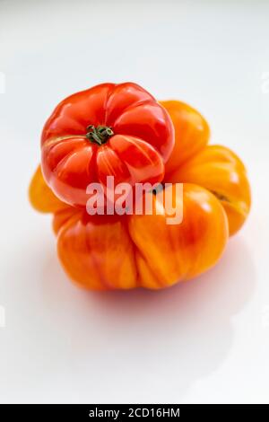 Zwei Sorten und Farben von Erbstück Tomaten auf weißem Hintergrund; Surrey, British Columbia, Kanada Stockfoto
