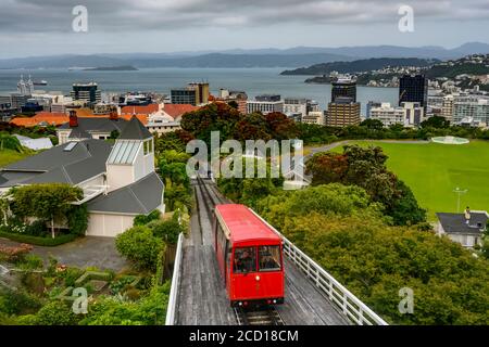 Die Wellington Cable Car ist eine Standseilbahn in Wellington, Neuseeland, zwischen Lambton Quay, der Haupteinkaufsstraße, und Kelburn, einem Vorort von... Stockfoto