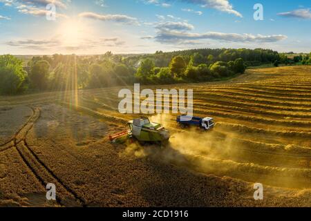 Ernte in Warmia im Nordosten Polens Stockfoto