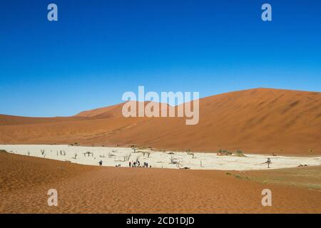 Deadvlei und die roten Dünen von Sossusvlei in Namibia, die Teil der Namib Sandsee sind, die 2013 von der UNESCO zum Weltkulturerbe erklärt wurde. Stockfoto