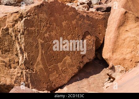Felsgravuren aus Twyfelfontein, Namibia, die etwa 2000 Jahre alt sind und seit 2007 zum UNESCO-Weltkulturerbe gehören Stockfoto
