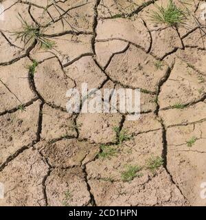 Siltgeformte Feldkruste mit Wassermangel. Für Trockenheit, Wasserknappheit, Bodenwissenschaft, Bodenmechanik, abstrakter Boden, abstrakte Trockenheit. Stockfoto