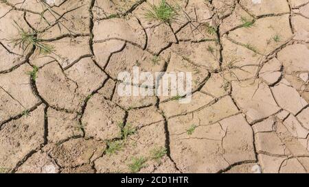 Siltgeformte Feldkruste mit Wassermangel. Für Wasserknappheit, Bodenwissenschaft, Bodenmechanik, abstrakter Boden, abstrakte Dürre. Größe 16:9 Stockfoto