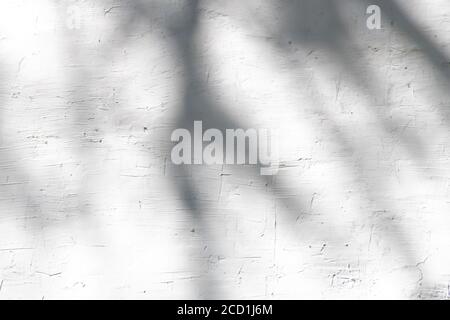 Hinterlässt Schatten auf strukturierter weißer Wand, kann als Overlay-Effekt für Fotos, Layouts, Poster, Schreibwaren, Wandkunst, Präsentationsdesign verwendet werden Stockfoto