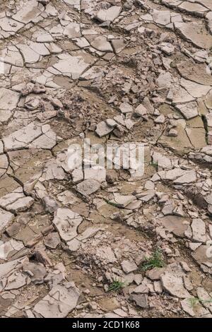 Der Boden verkrustet sich auf dem Feld und zeigt Risse, wenn Schlamm austrocknet und Feuchtigkeit verdunstet. Für die Bodenwissenschaft, Dürre in Großbritannien, Wasserknappheit, Risse bilden sich. Stockfoto