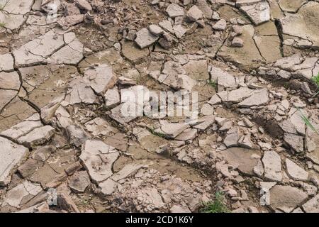 Der Boden verkrustet sich auf dem Feld und zeigt Risse, wenn Schlamm austrocknet und Feuchtigkeit verdunstet. Für die Bodenwissenschaft, Dürre in Großbritannien, Wasserknappheit, Risse bilden sich. Stockfoto