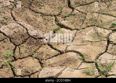 Siltgeformte Feldkruste, die mit Wassermangel bricht. Für Trockenheit, Wasserknappheit, Bodenwissenschaft, Bodenmechanik, abstrakter Boden, Klimawandel. Stockfoto