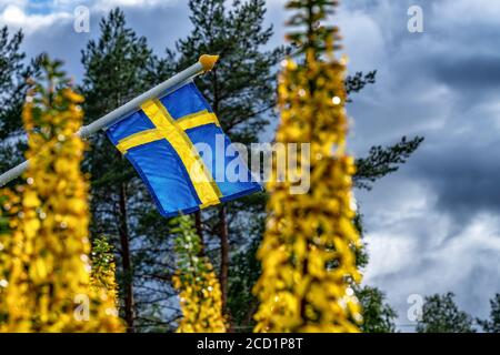 Nahaufnahme der schwedischen Flagge mit nassem Fahnenmast, der bei fast ruhigem Wetter nach dem Sommerregen langsam winkt. Verschwommene gelbe Blüten, grüner Wald und dunkles b Stockfoto